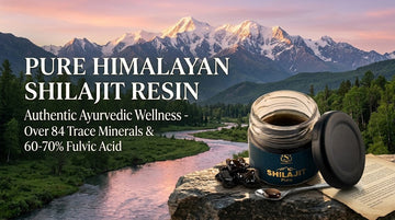 shilajit resin ingredient